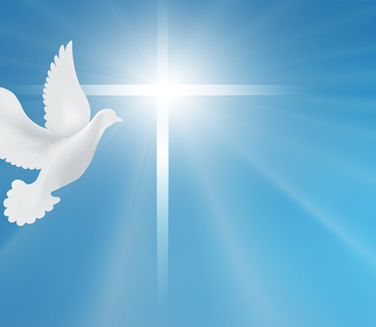 Dove and Cross